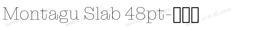 Montagu Slab 48pt字体转换